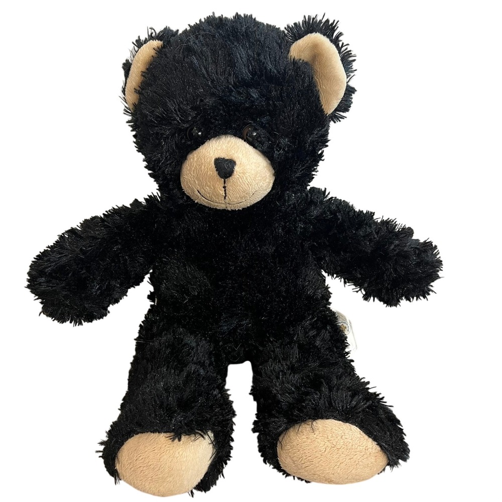 Build-a-bear Black teddy‎ bear stuffed animal